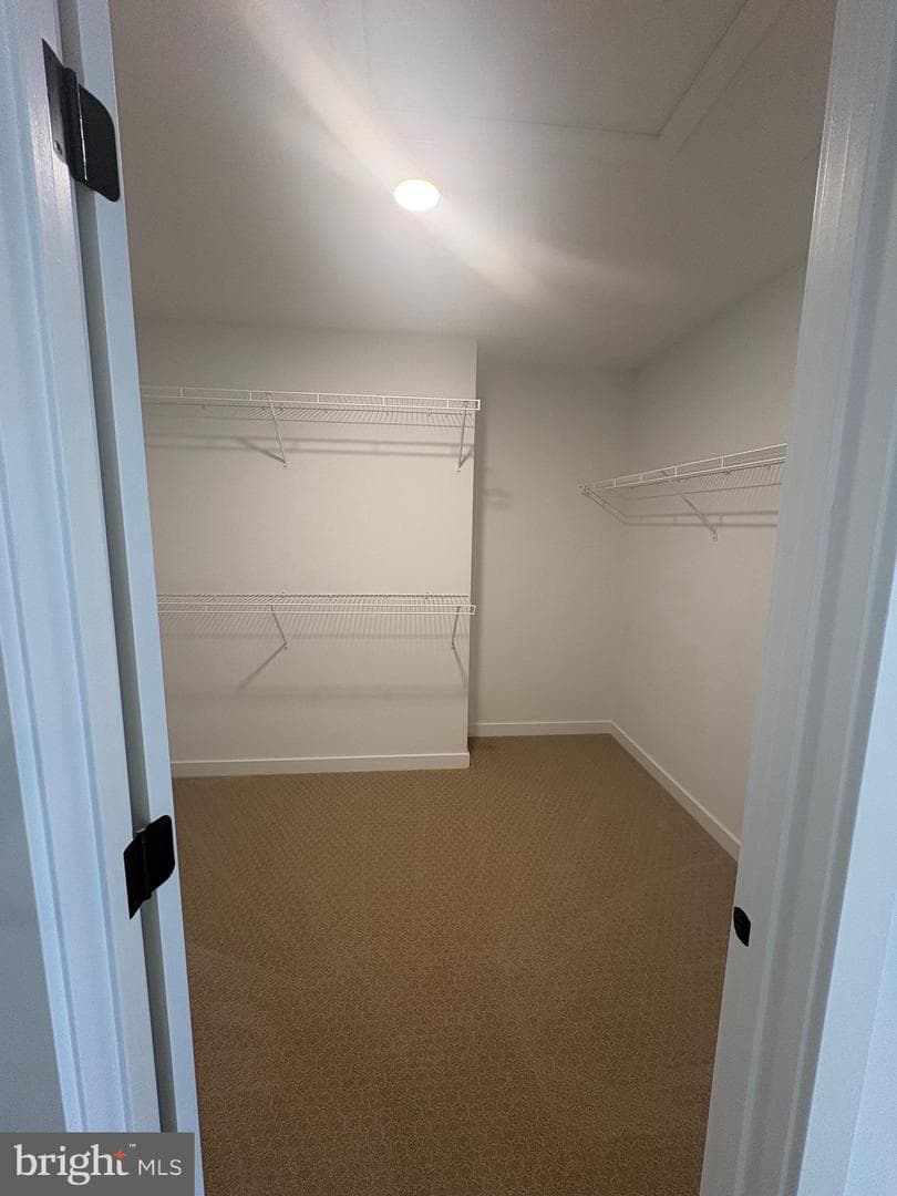 112 Camryn Court photo 5