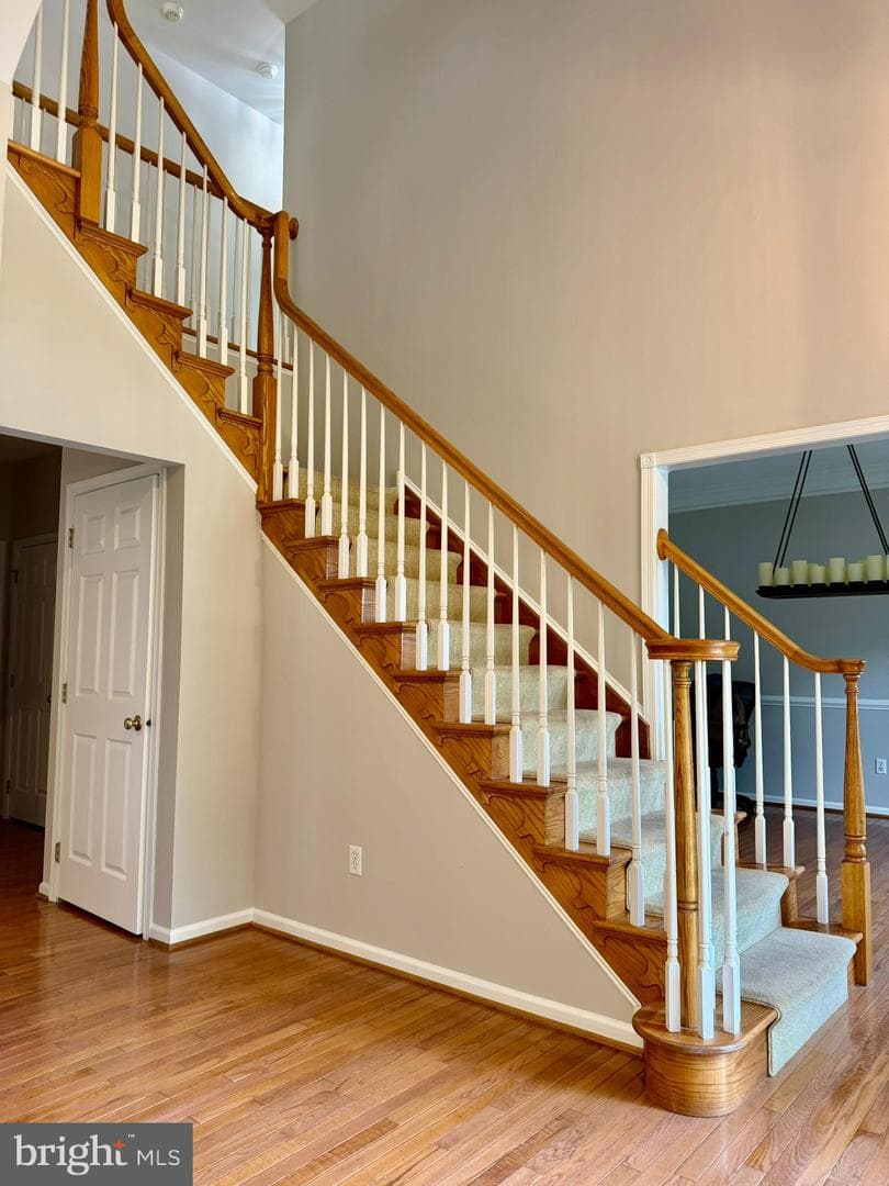 240 Torrey Pine Court photo 16