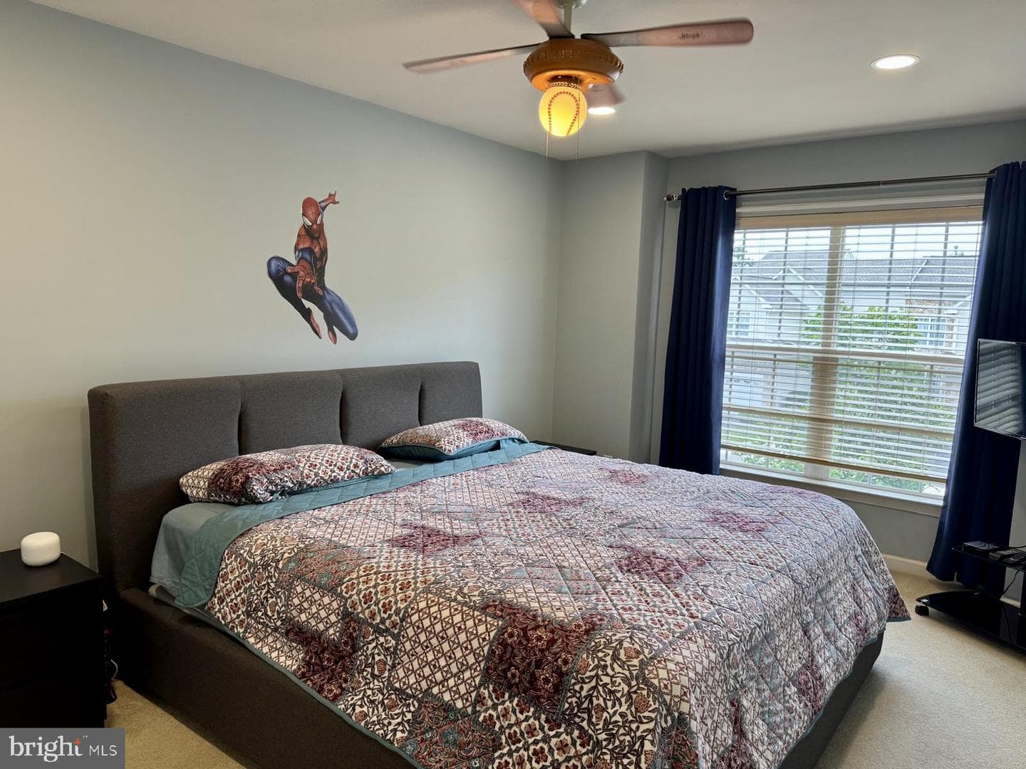 240 Torrey Pine Court photo 29