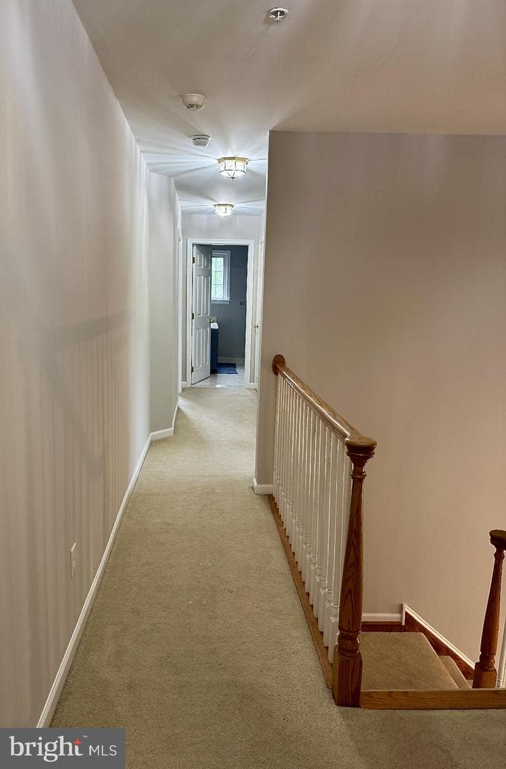 240 Torrey Pine Court photo 34
