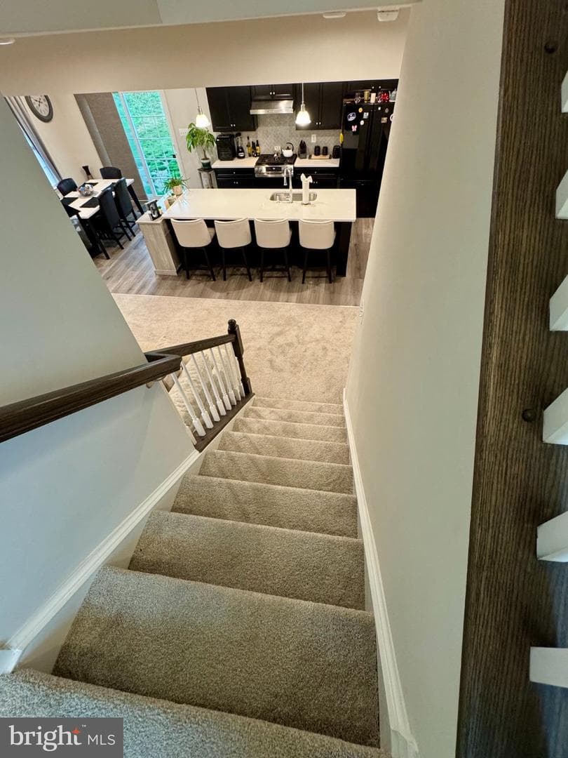 203 Braeburn Drive photo 26