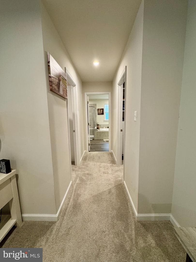 203 Braeburn Drive photo 31