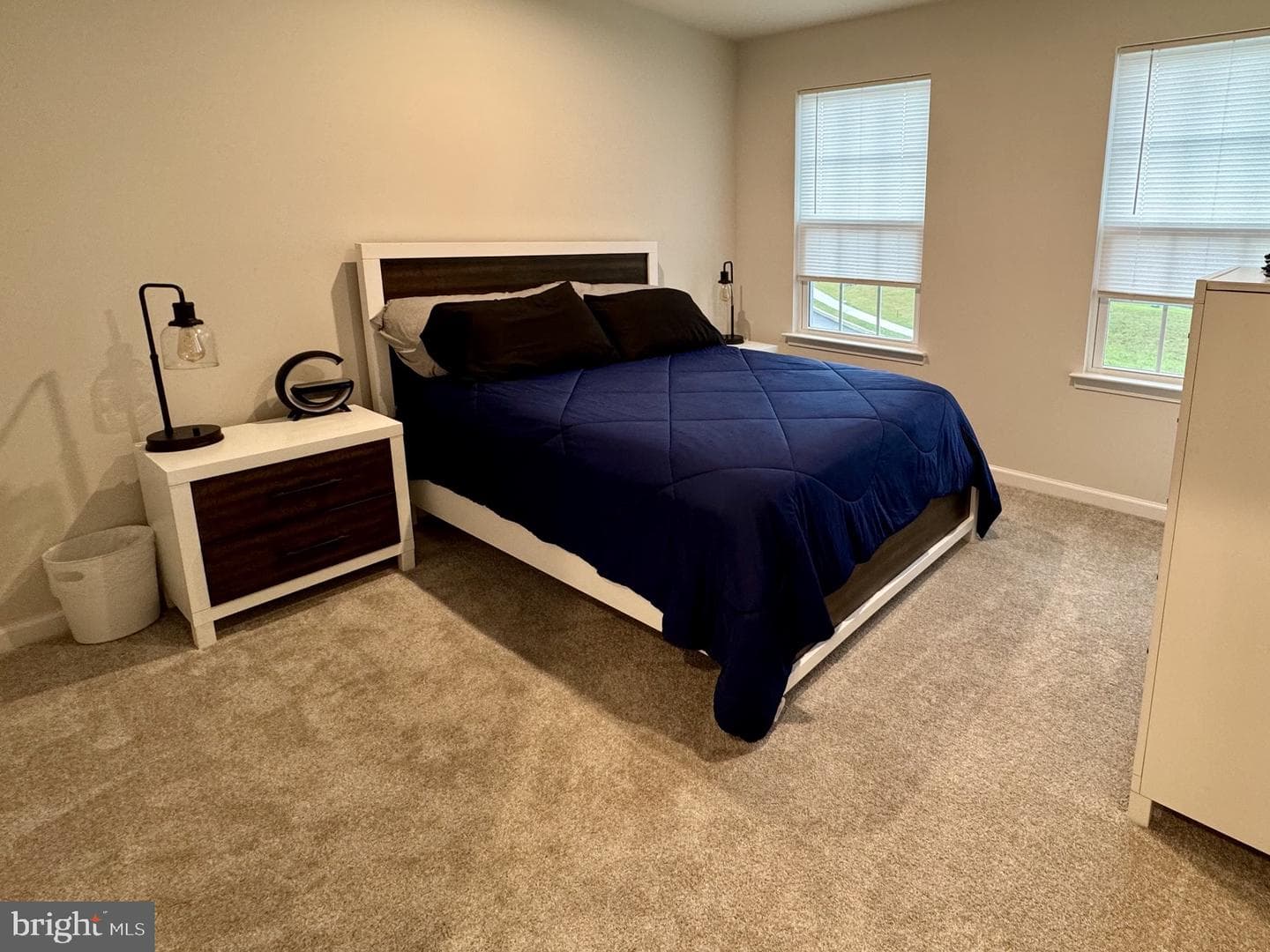 203 Braeburn Drive photo 42