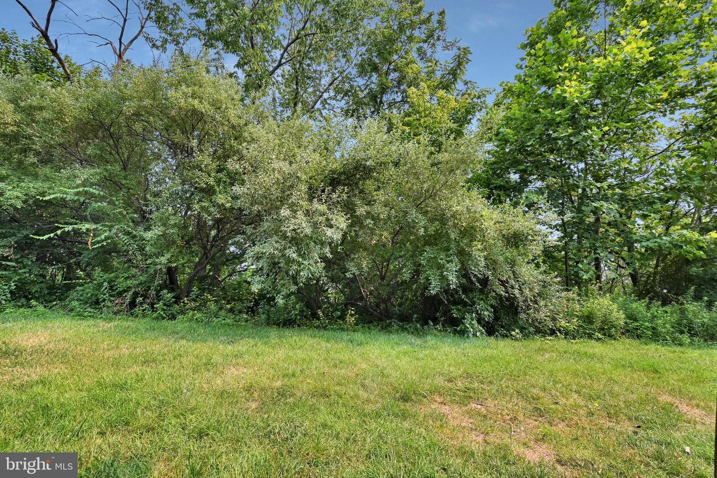 494 Onward Avenue photo 29