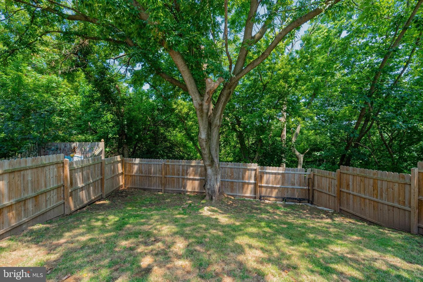 43 Evergreen Lane photo 27