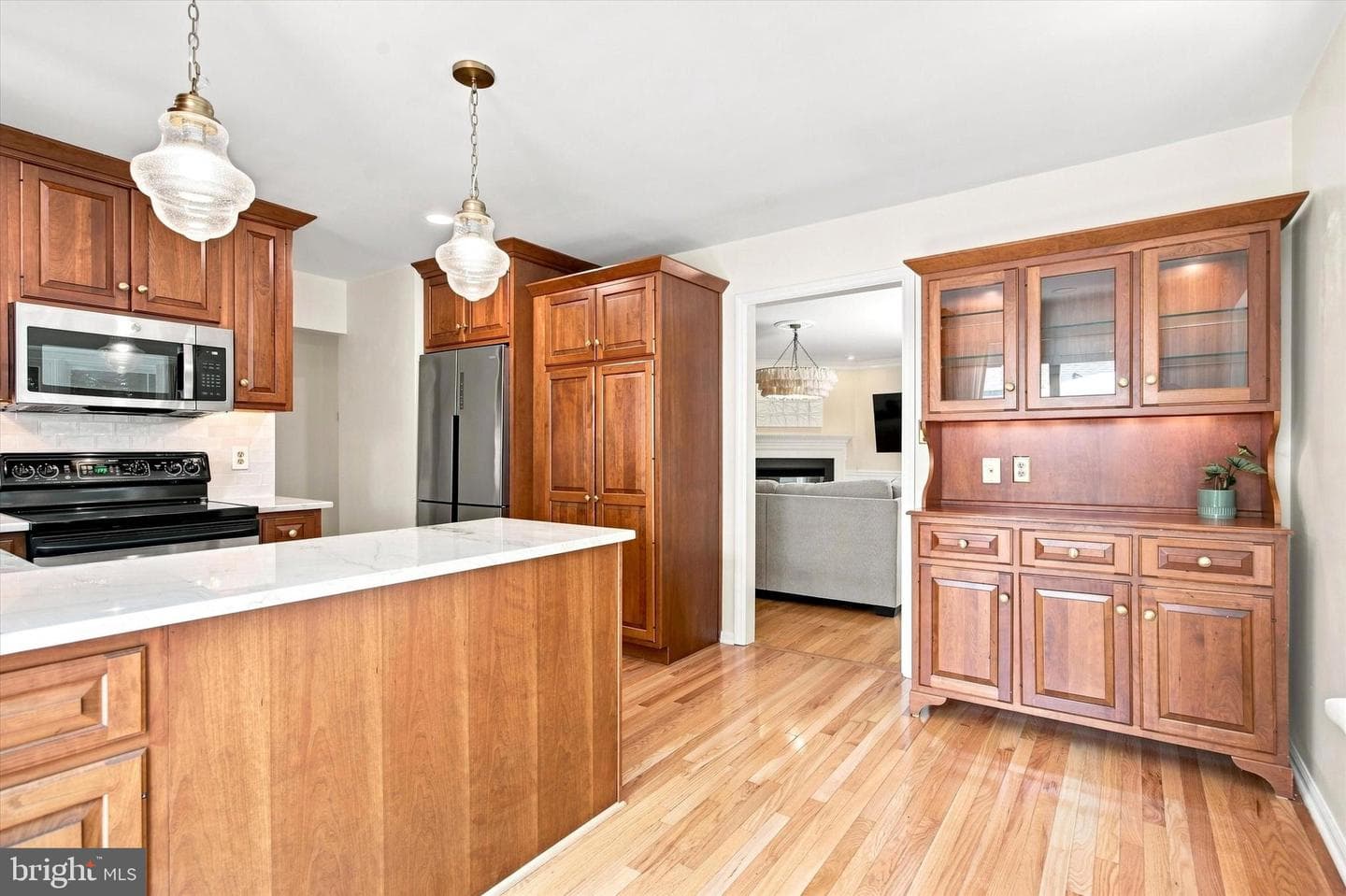 239 Cohasset Lane photo 15