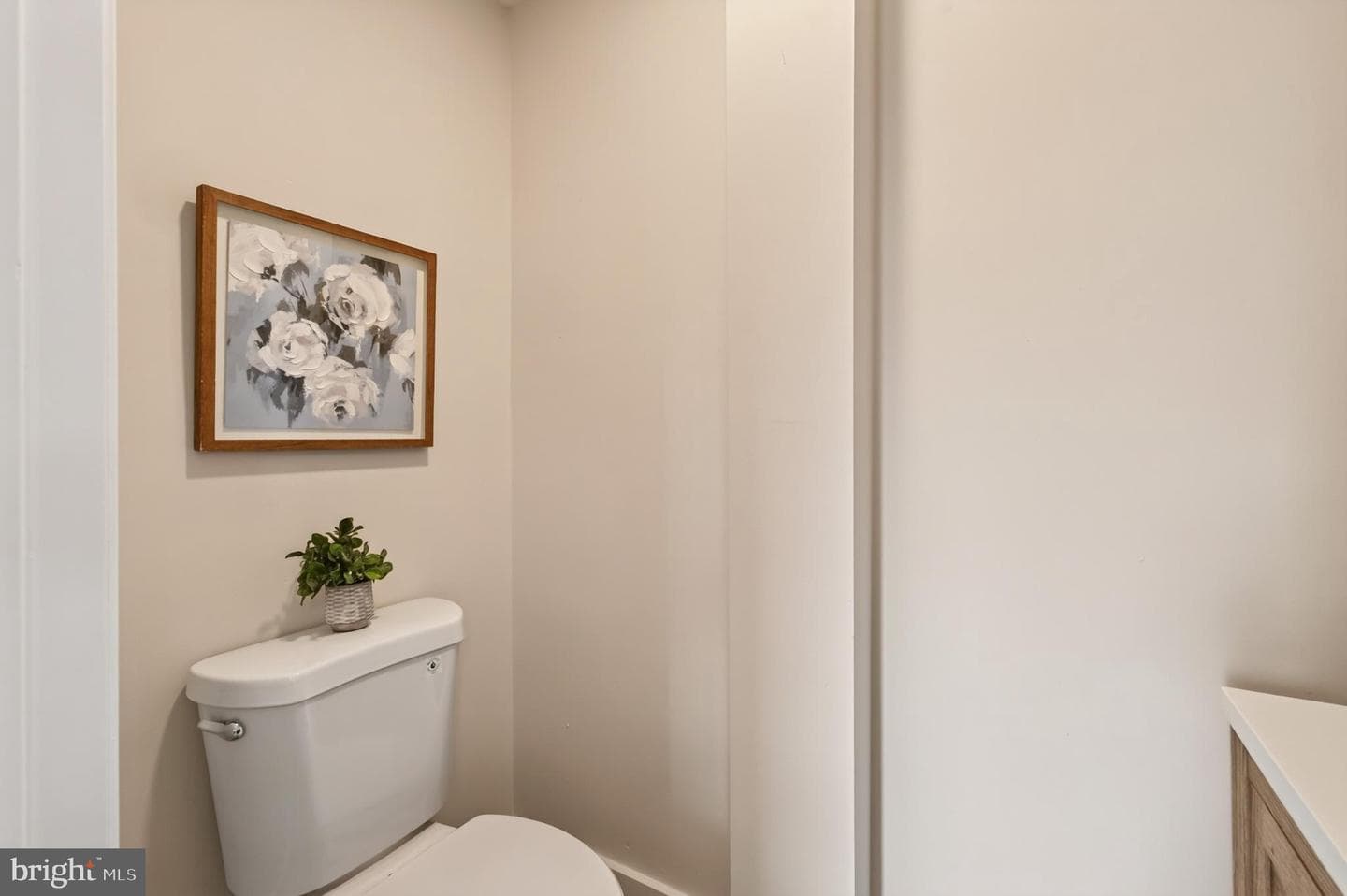 149 Poplar Street photo 12