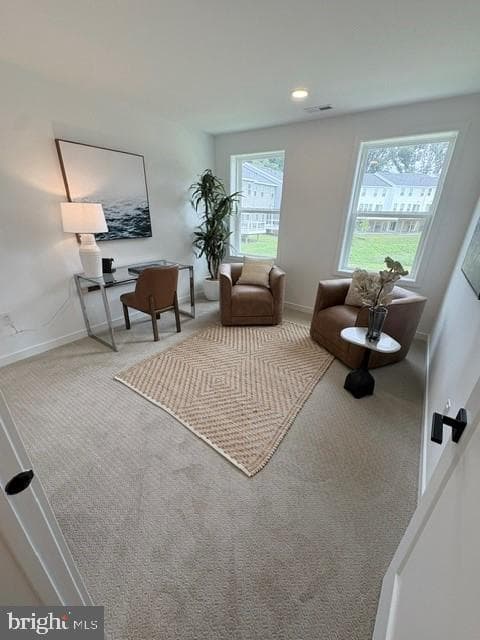 109 Camryn Court photo 10