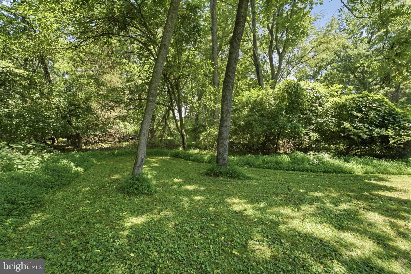 250 Watson Avenue photo 44