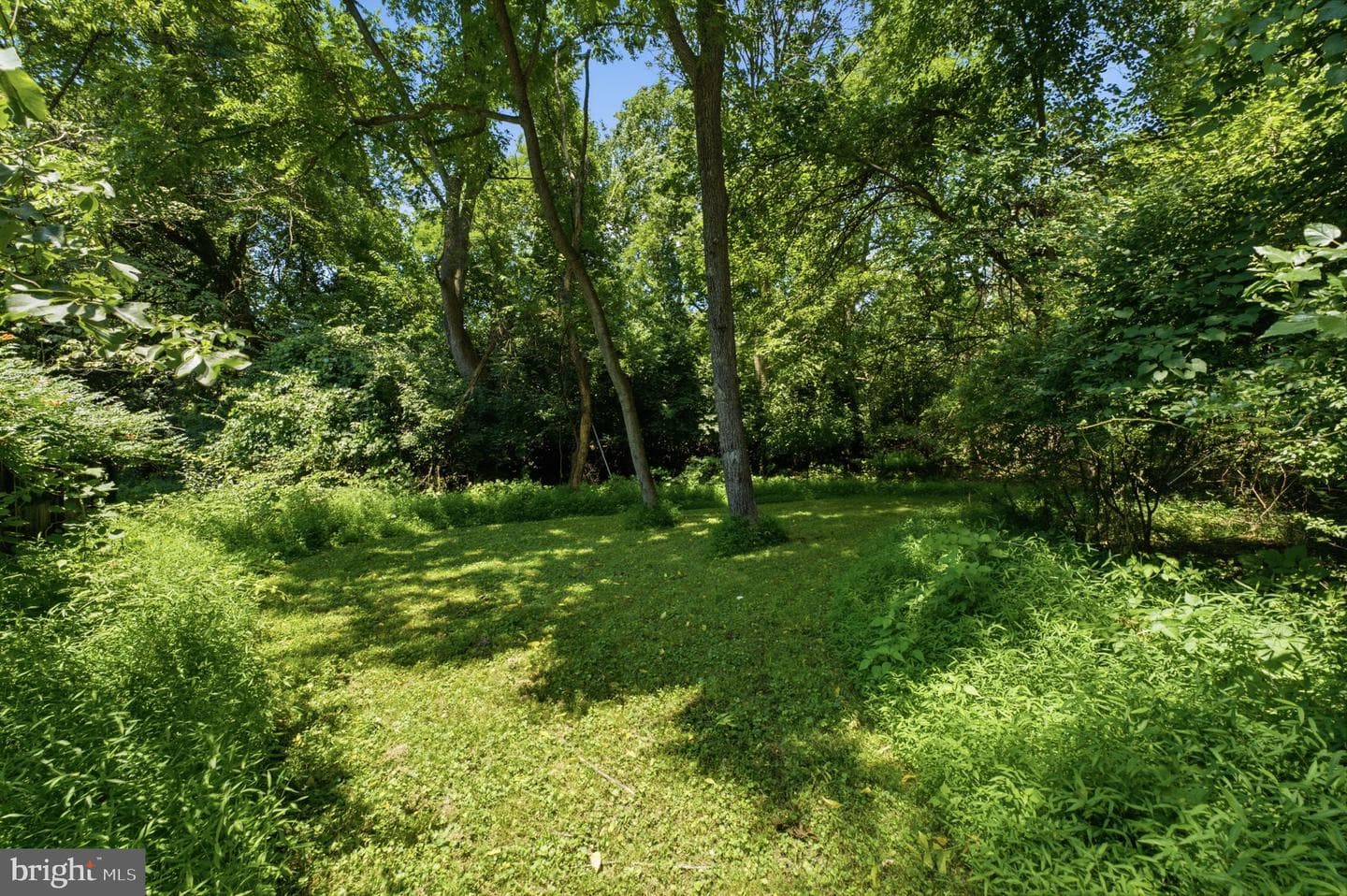 250 Watson Avenue photo 45