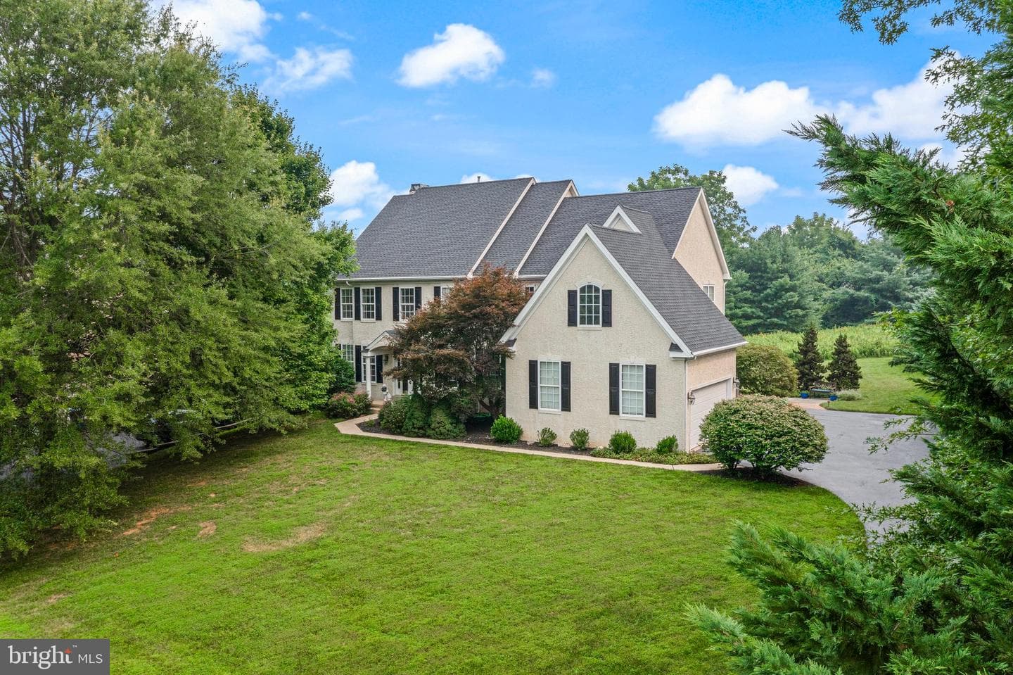 154 Forest Drive photo 4