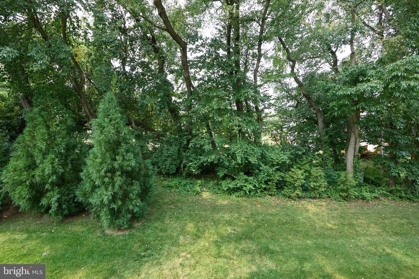 55 Lila Lane photo 33