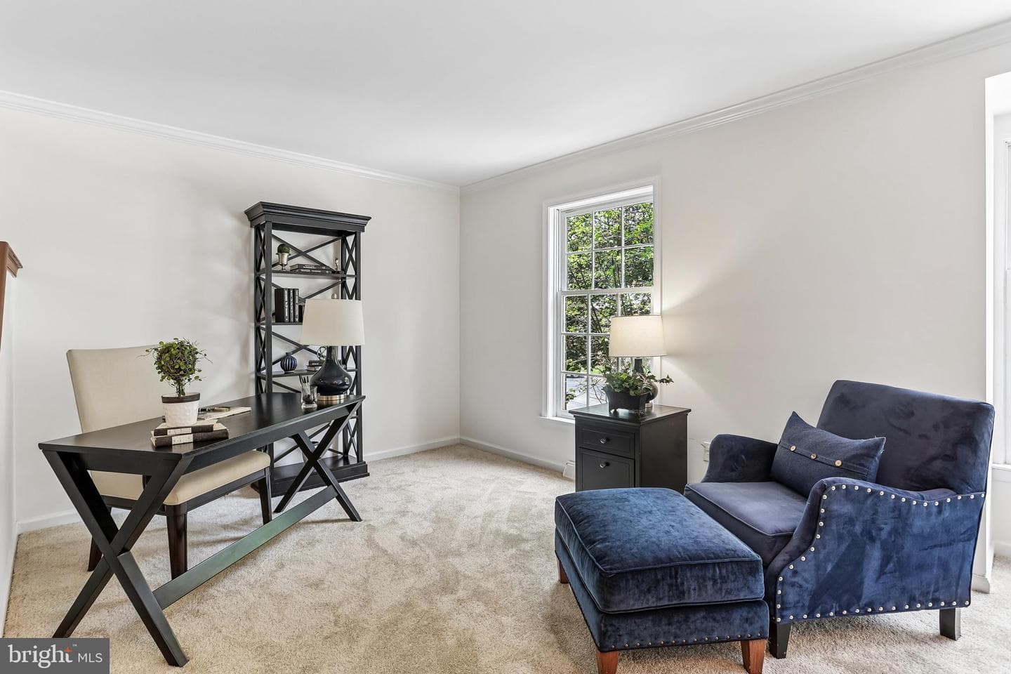 103 Brighton Circle photo 19