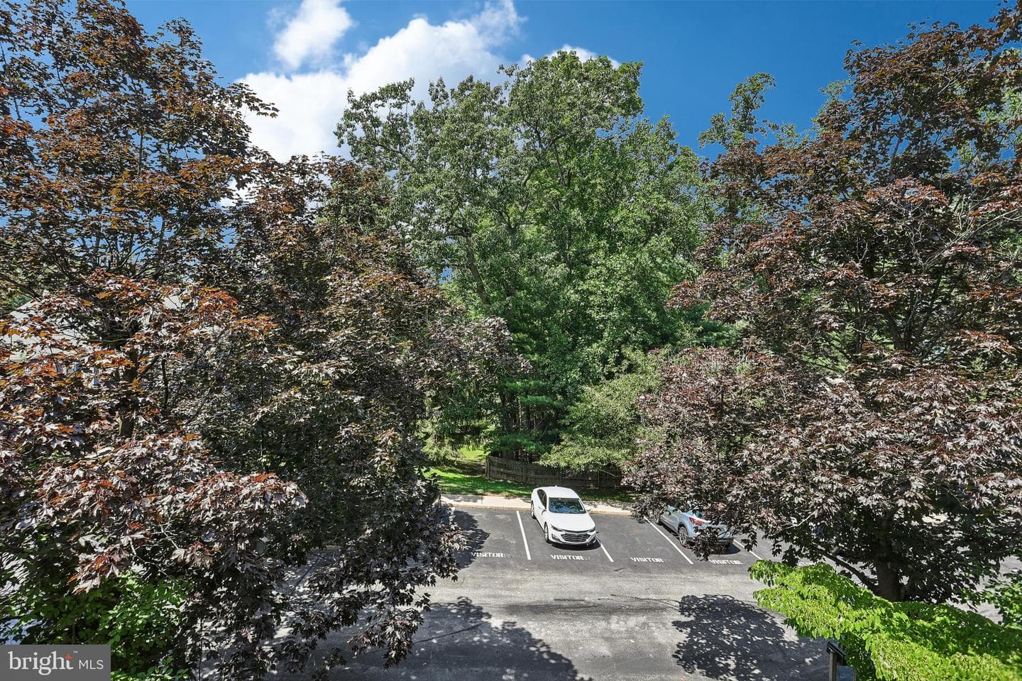 103 Brighton Circle photo 37