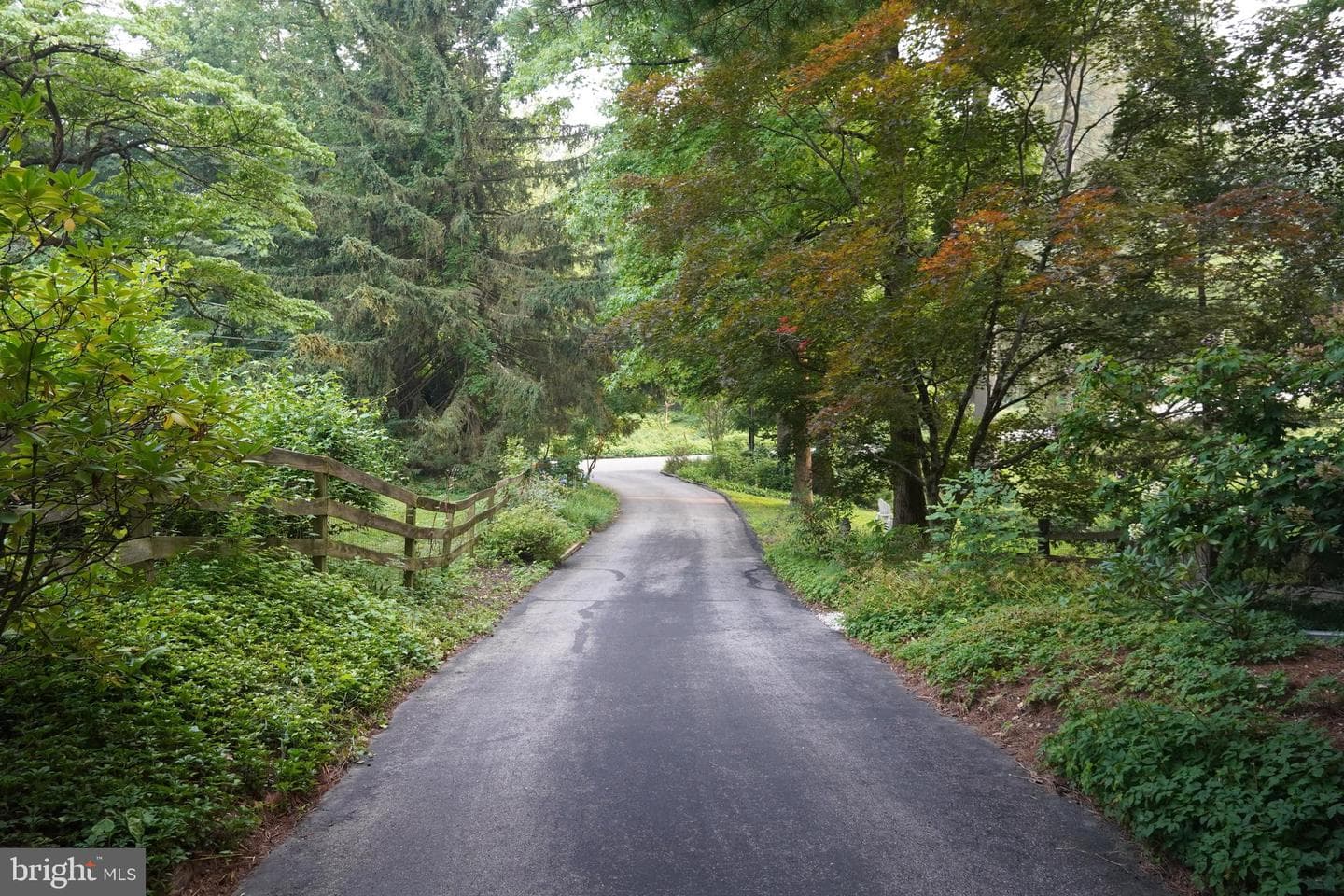 433 Homestead Road photo 10