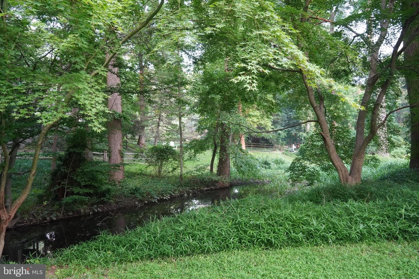 433 Homestead Road photo 14