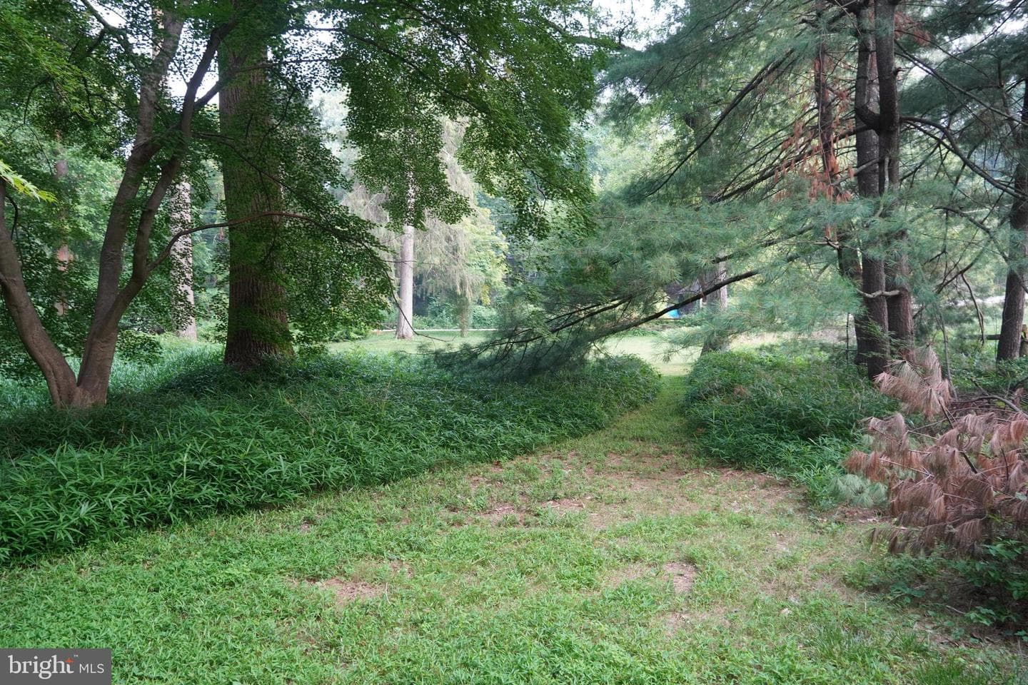 433 Homestead Road photo 16