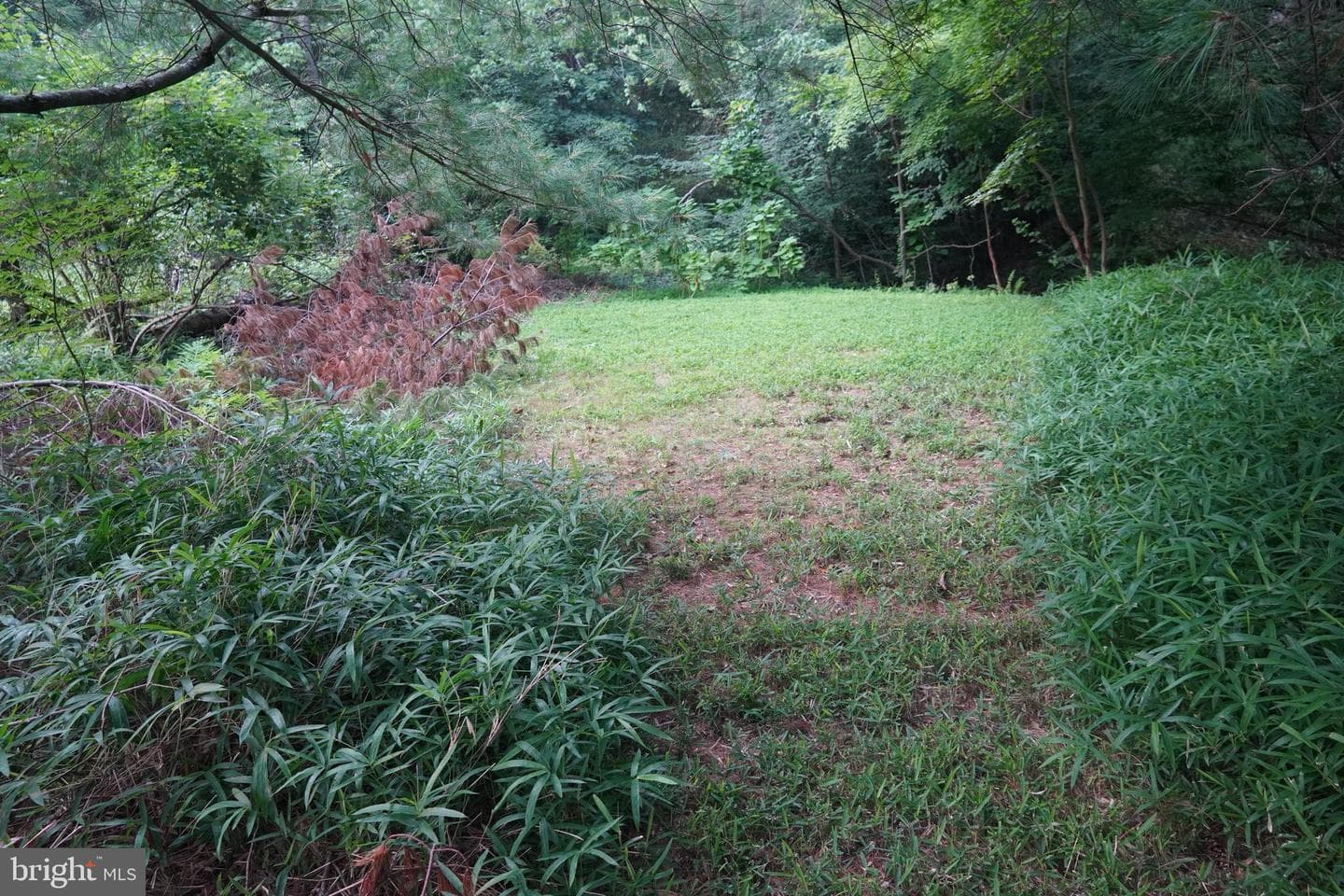 433 Homestead Road photo 17