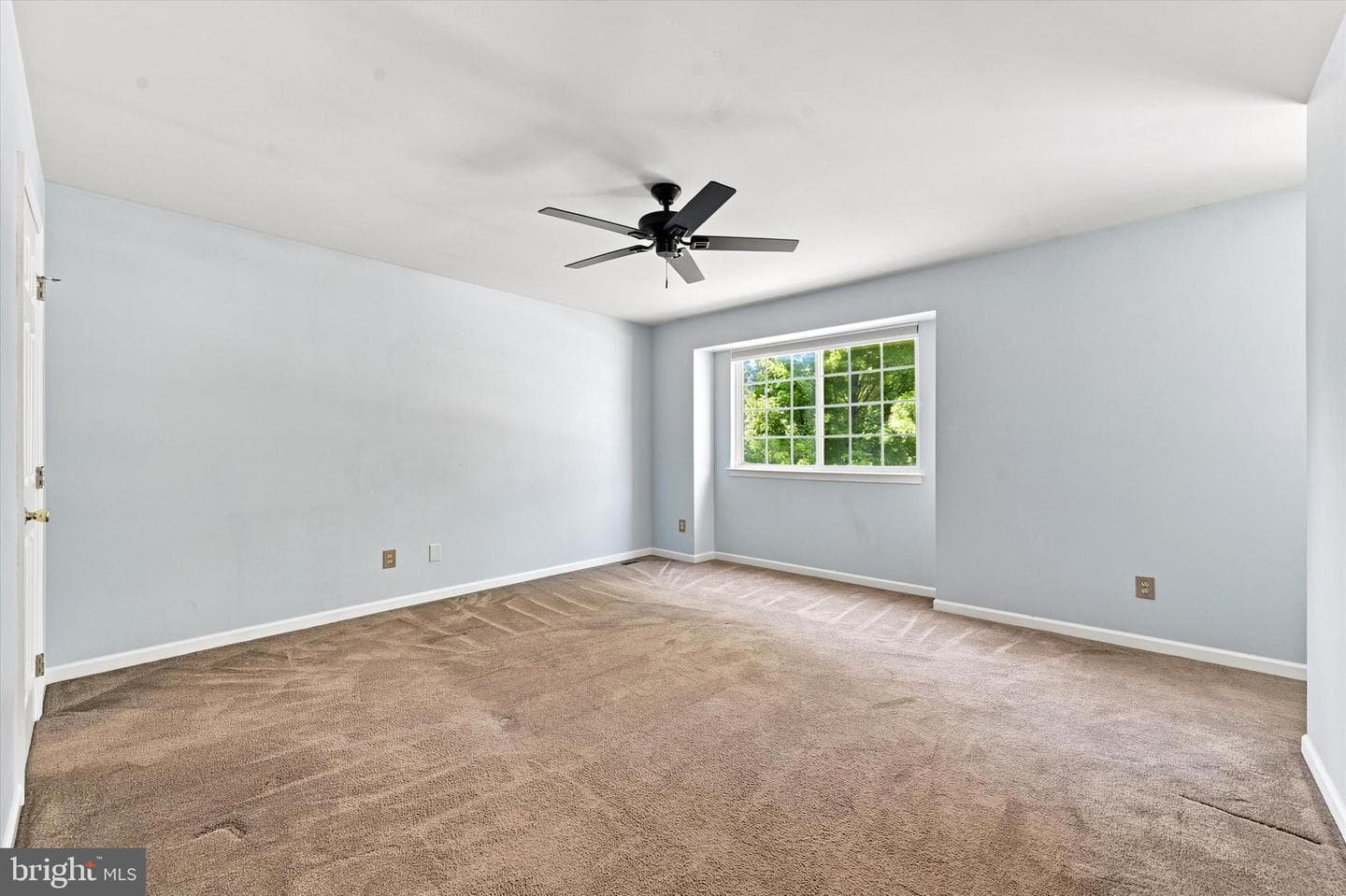52 Pinckney Drive photo 7