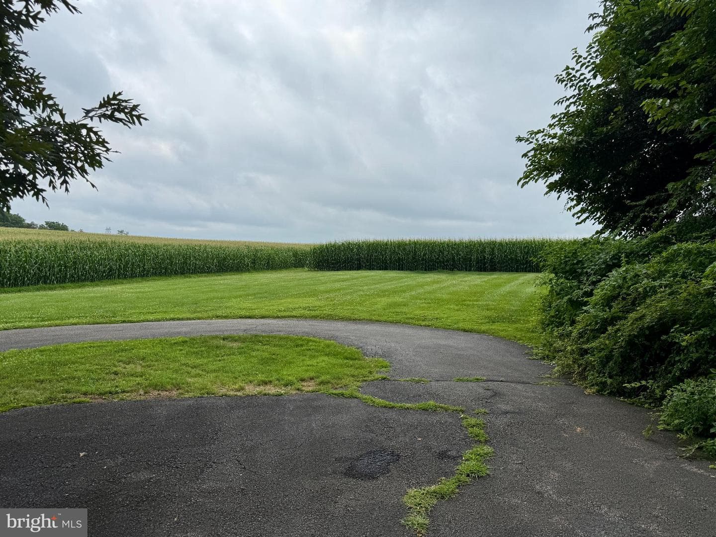 946 Street Road photo 10