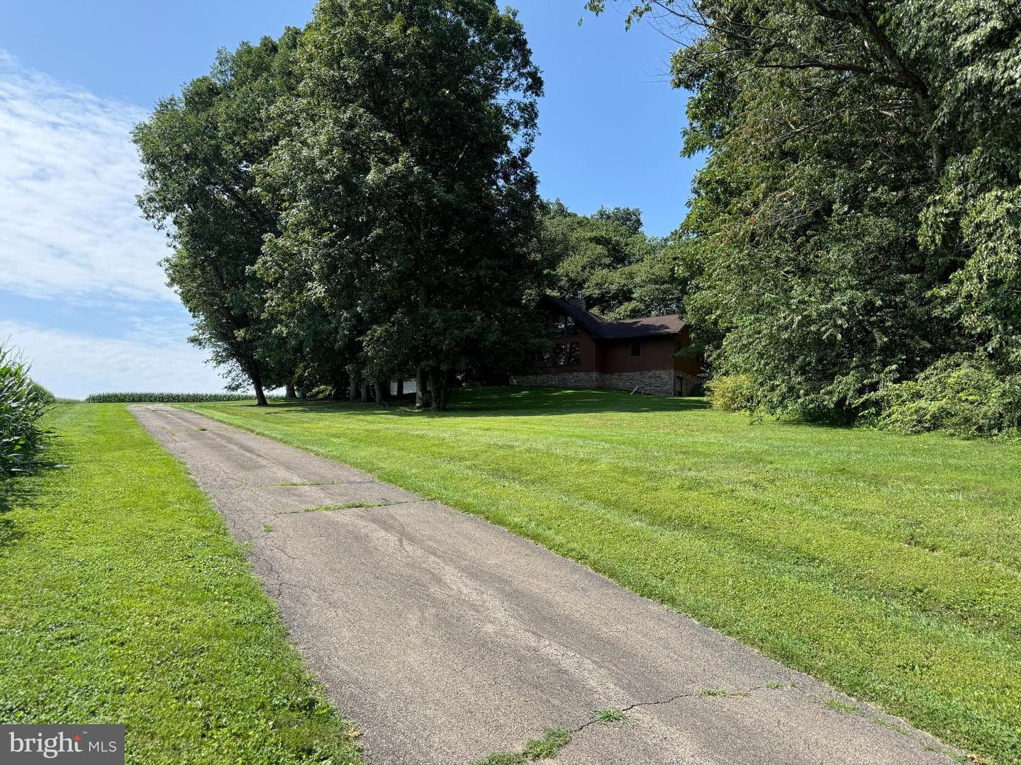 946 Street Road photo 17