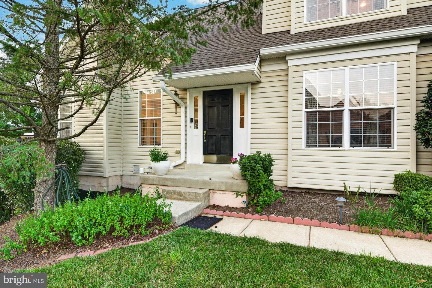 247 Silverbell Court photo 5