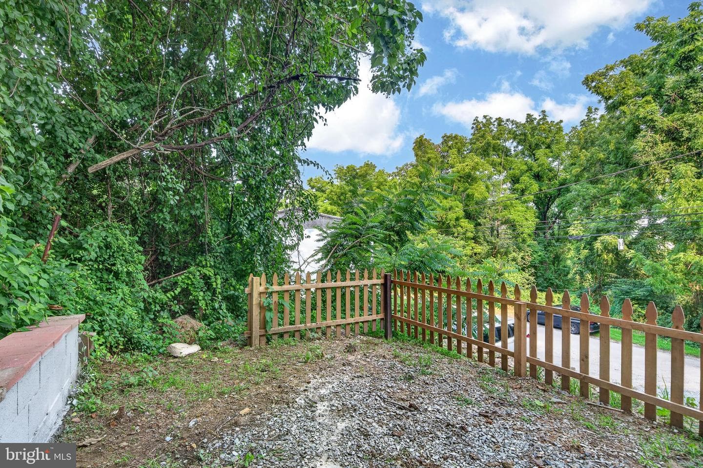 377 Mount Pleasant Street photo 42