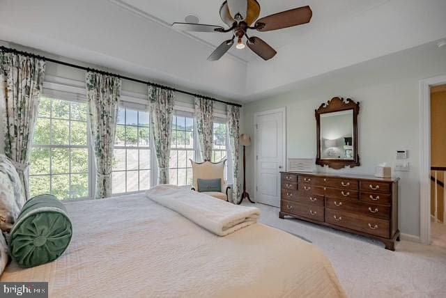 431 Pierce Drive photo 36