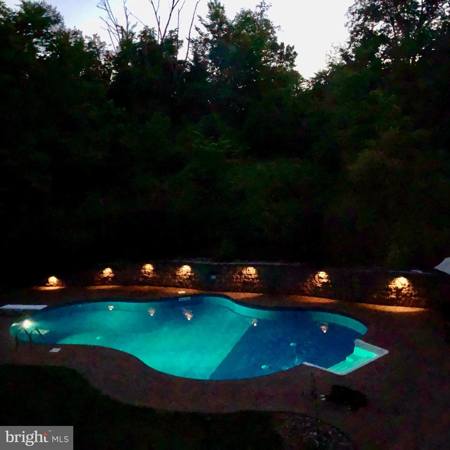 8 Beechwood Lane photo 57