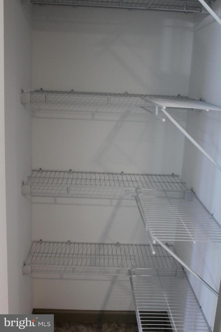 246 Hummel Street photo 13