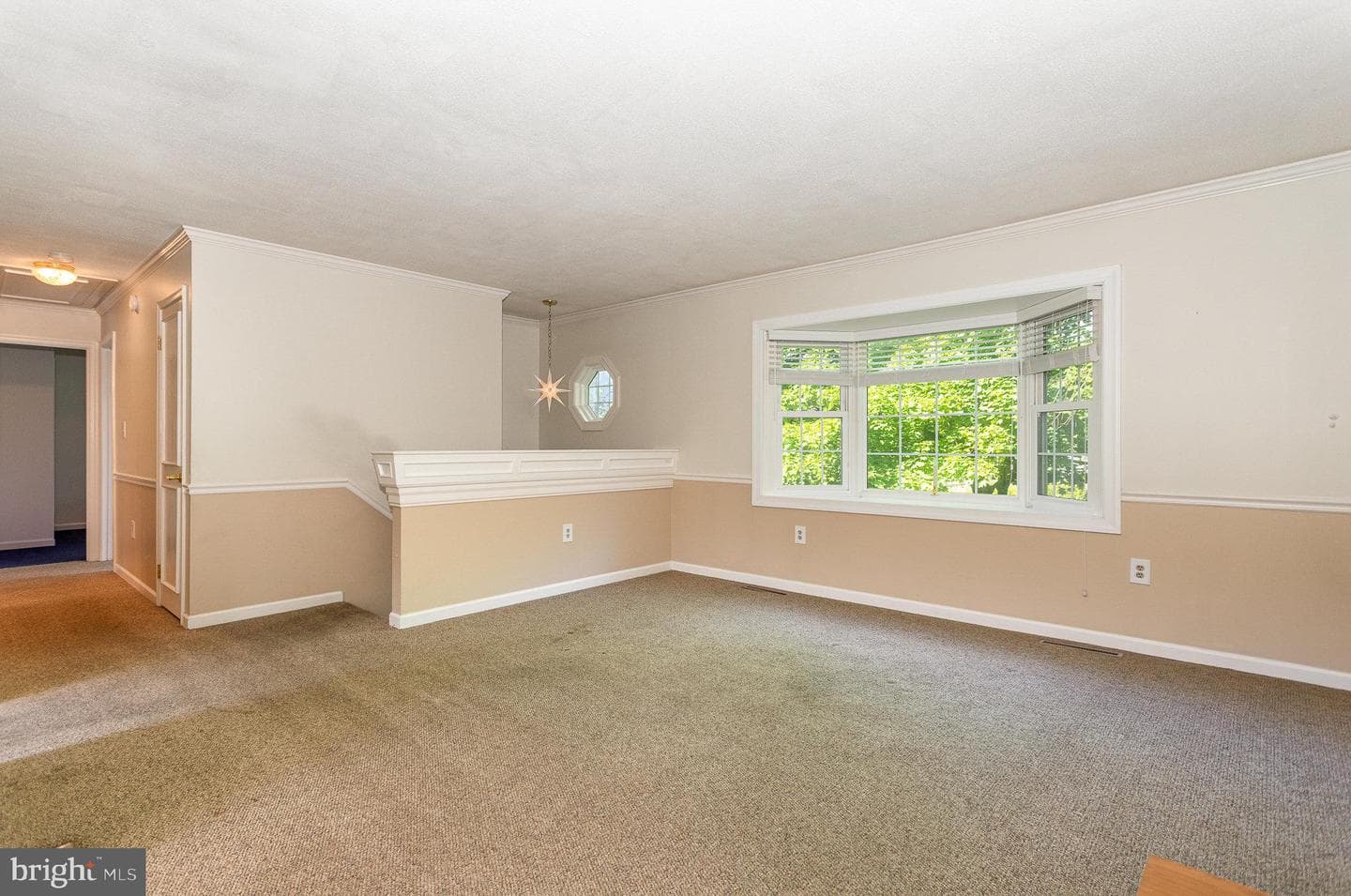 417 Bolton Drive photo 13