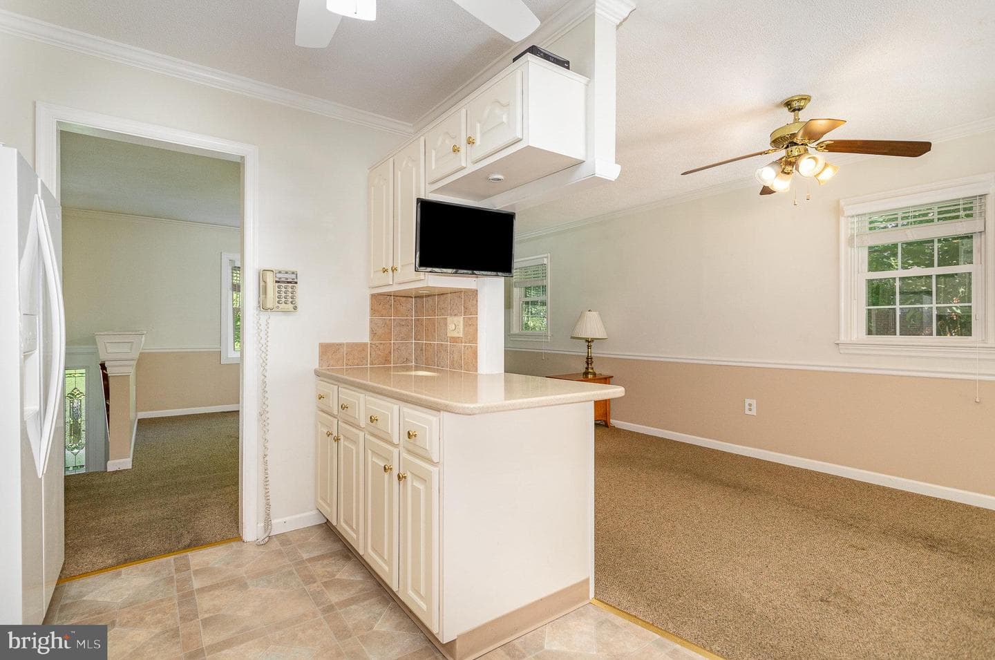417 Bolton Drive photo 19