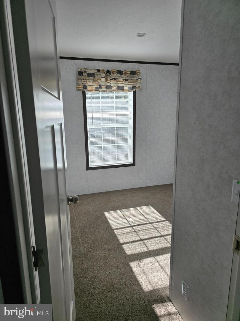 3591 Mobile Road photo 10