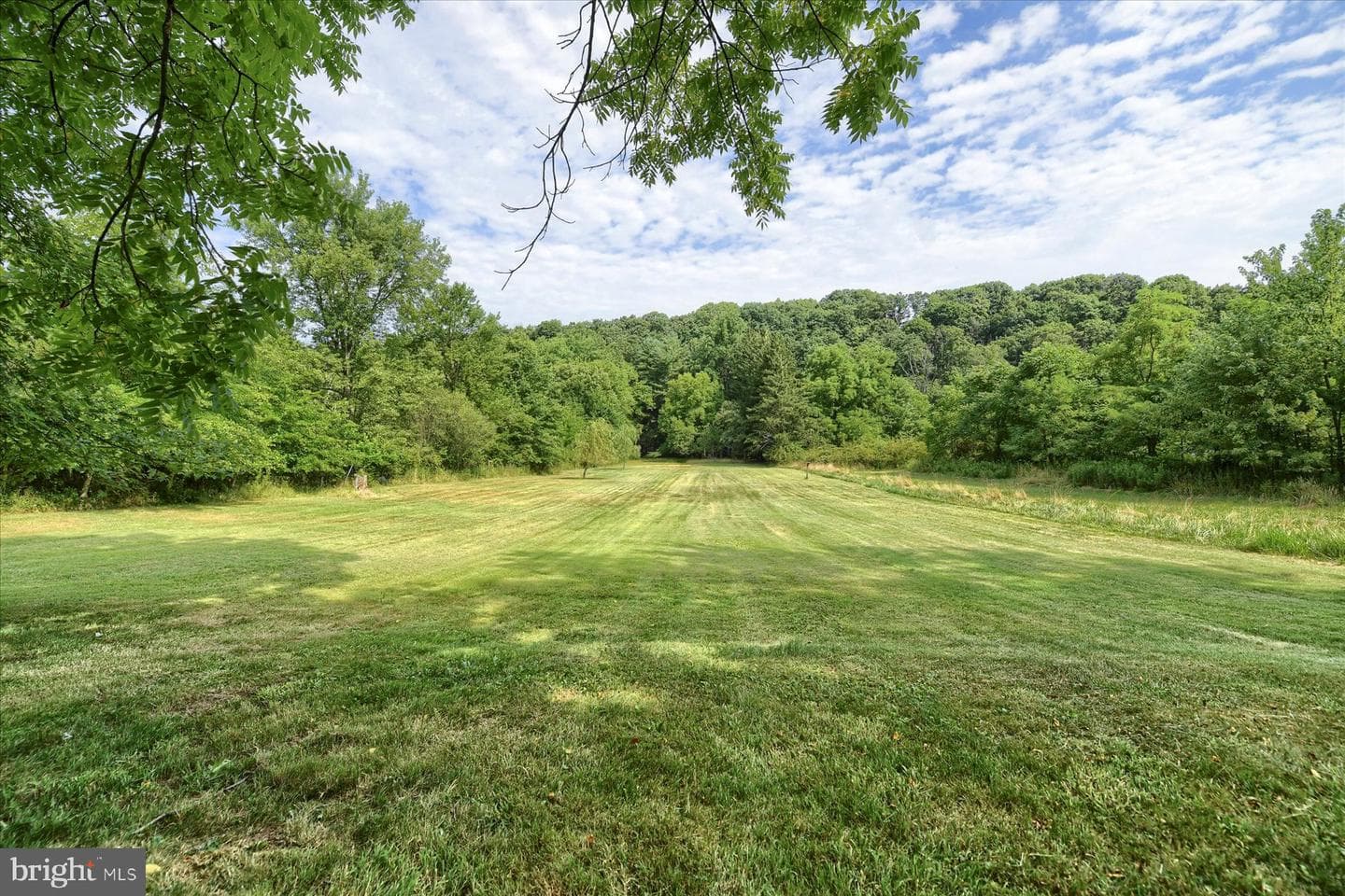 1600 Fishing Creek Valley Road photo 8