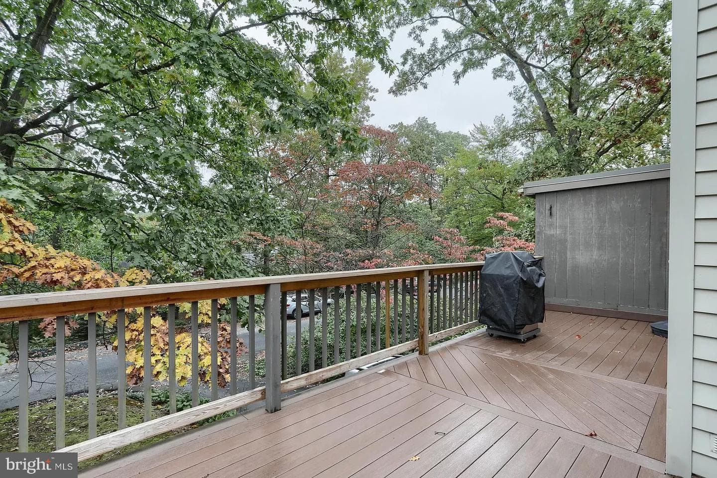 1128 Peggy Drive photo 3