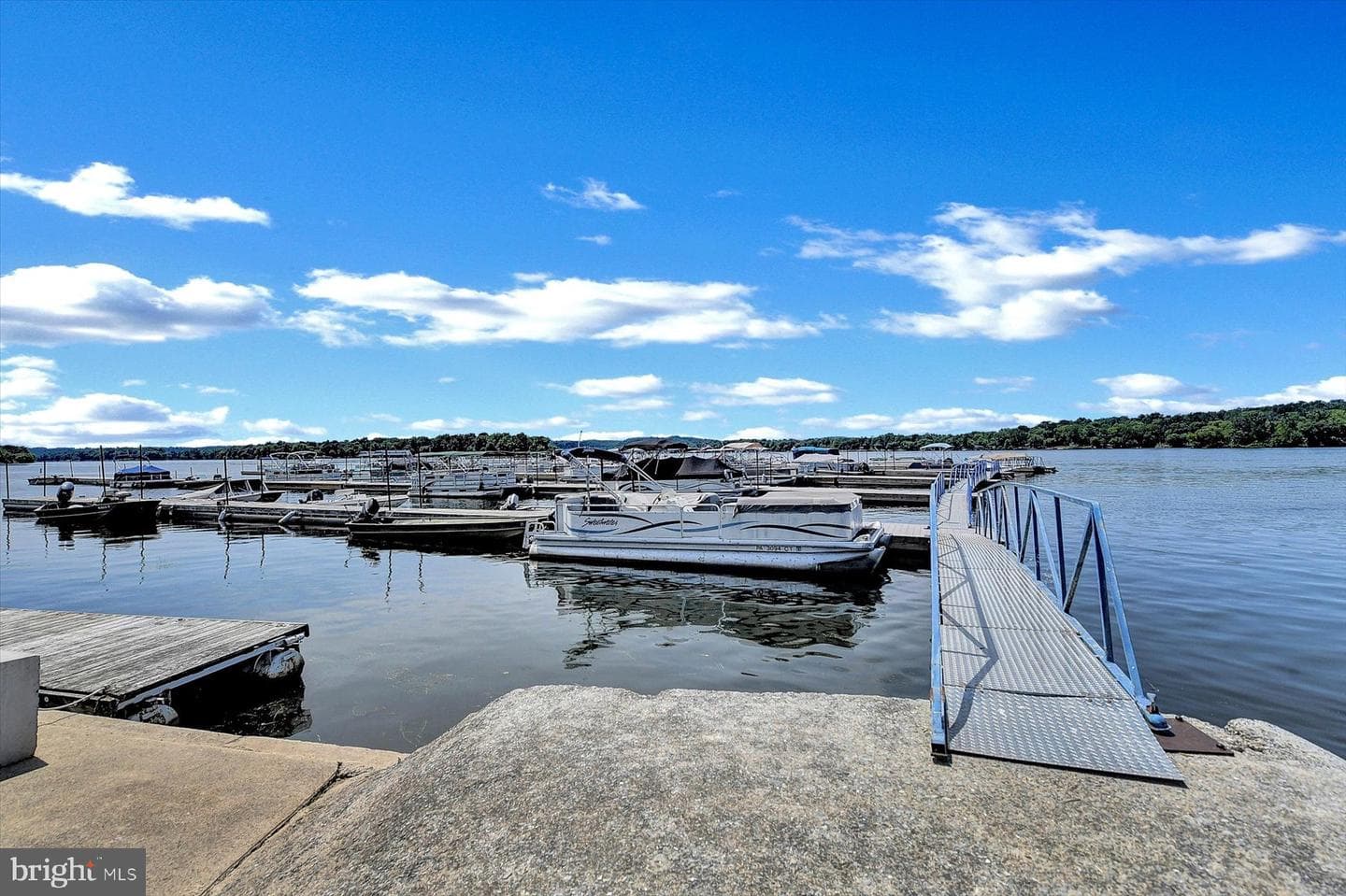 62 Beech Island photo 45