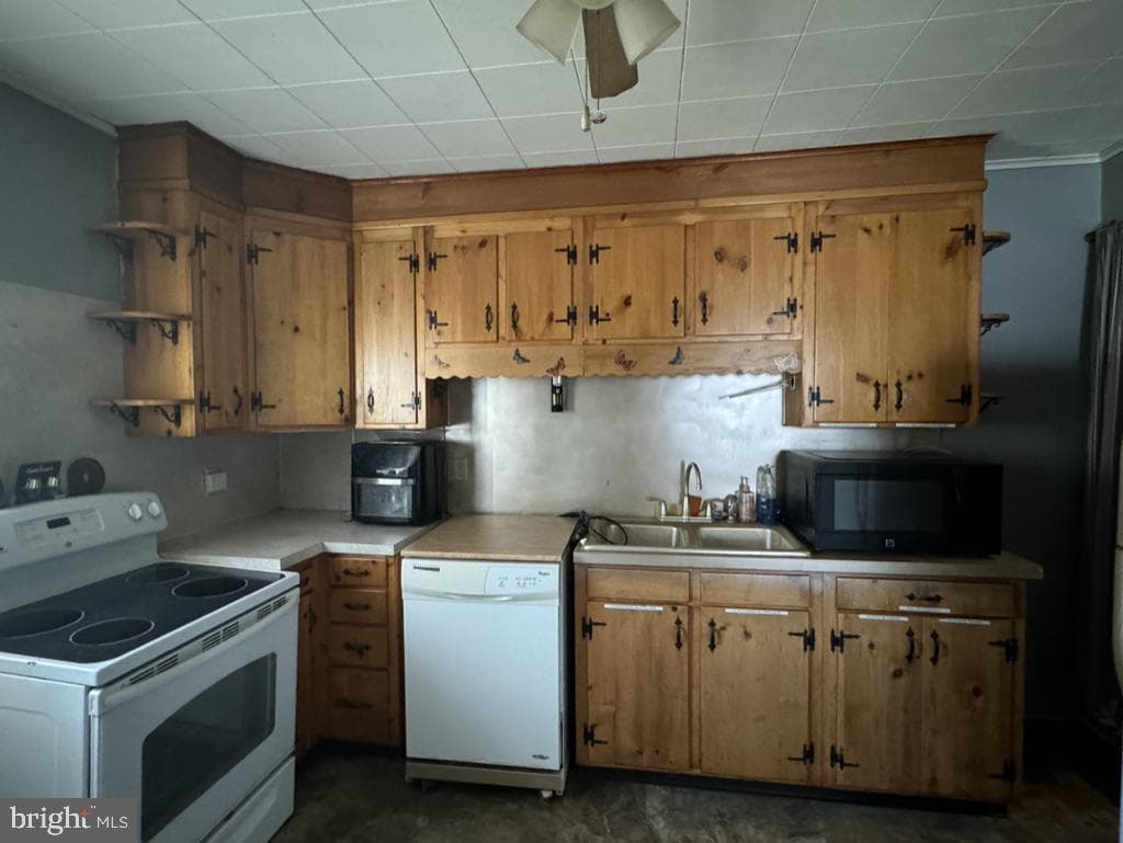410 Elizabeth Street photo 10