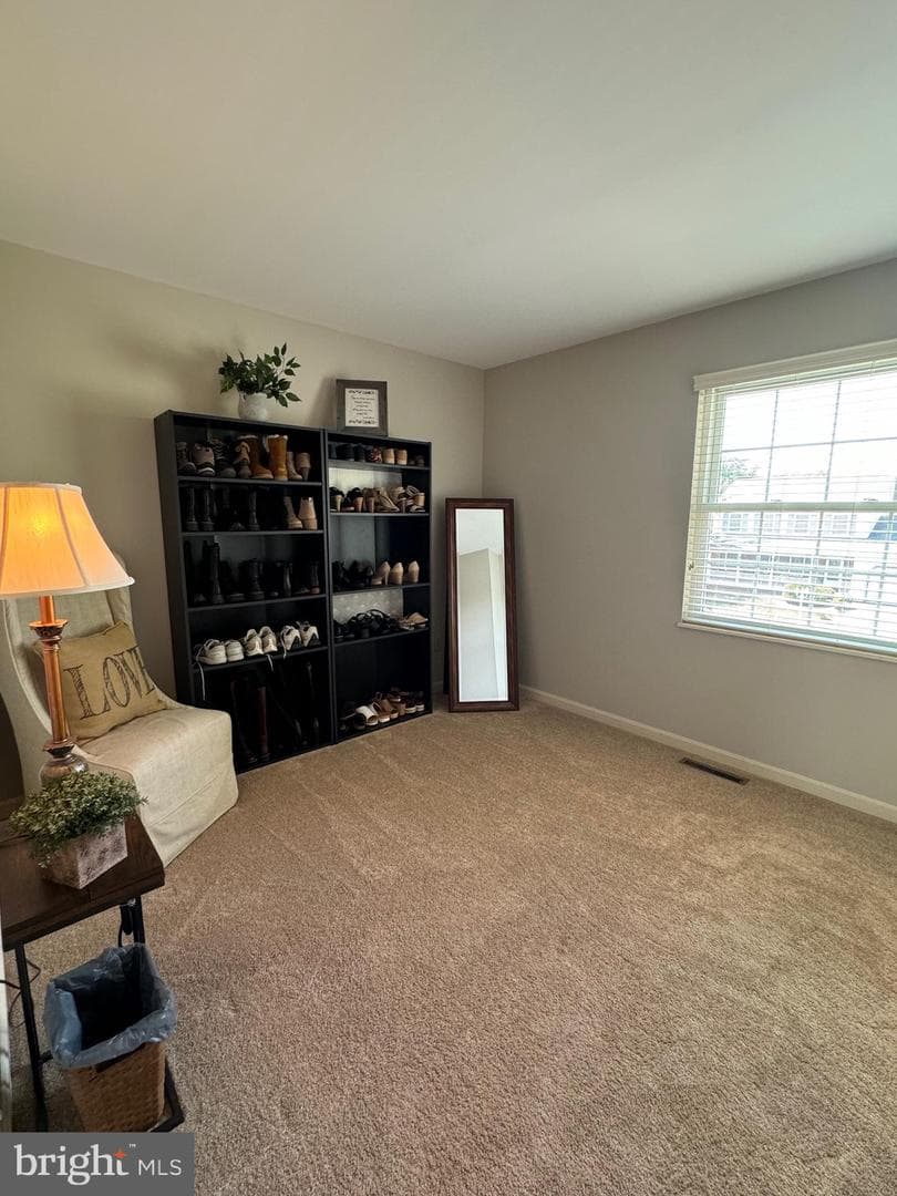 5920 Palmer Drive photo 37