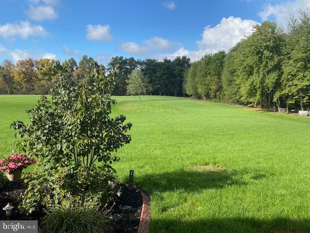 459 N Mill Road photo 17