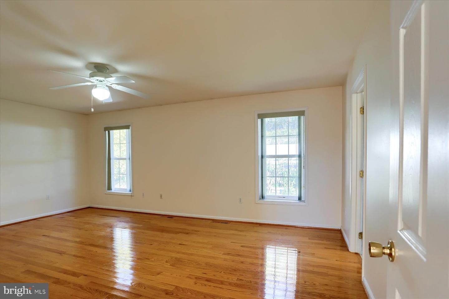 478 Princeton Road photo 19