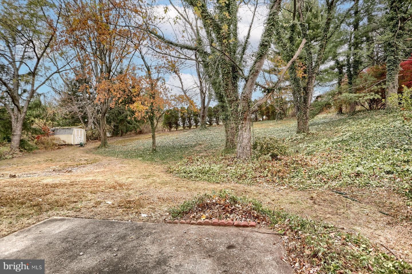 4 Ardmore Drive photo 32