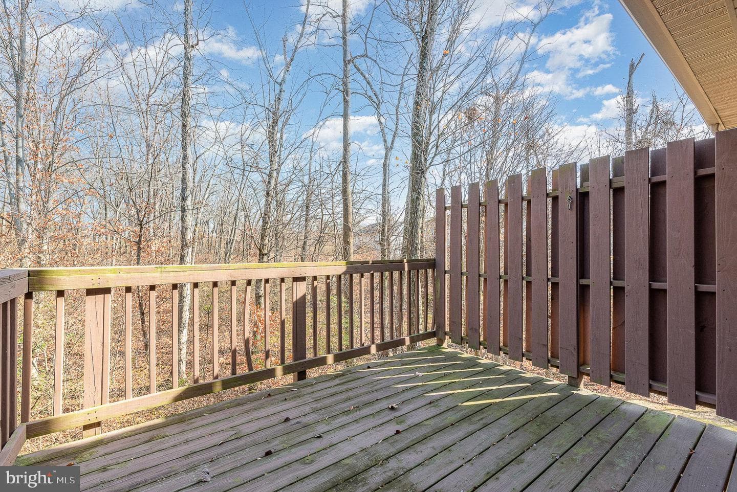 512 Woodthrush Court photo 22
