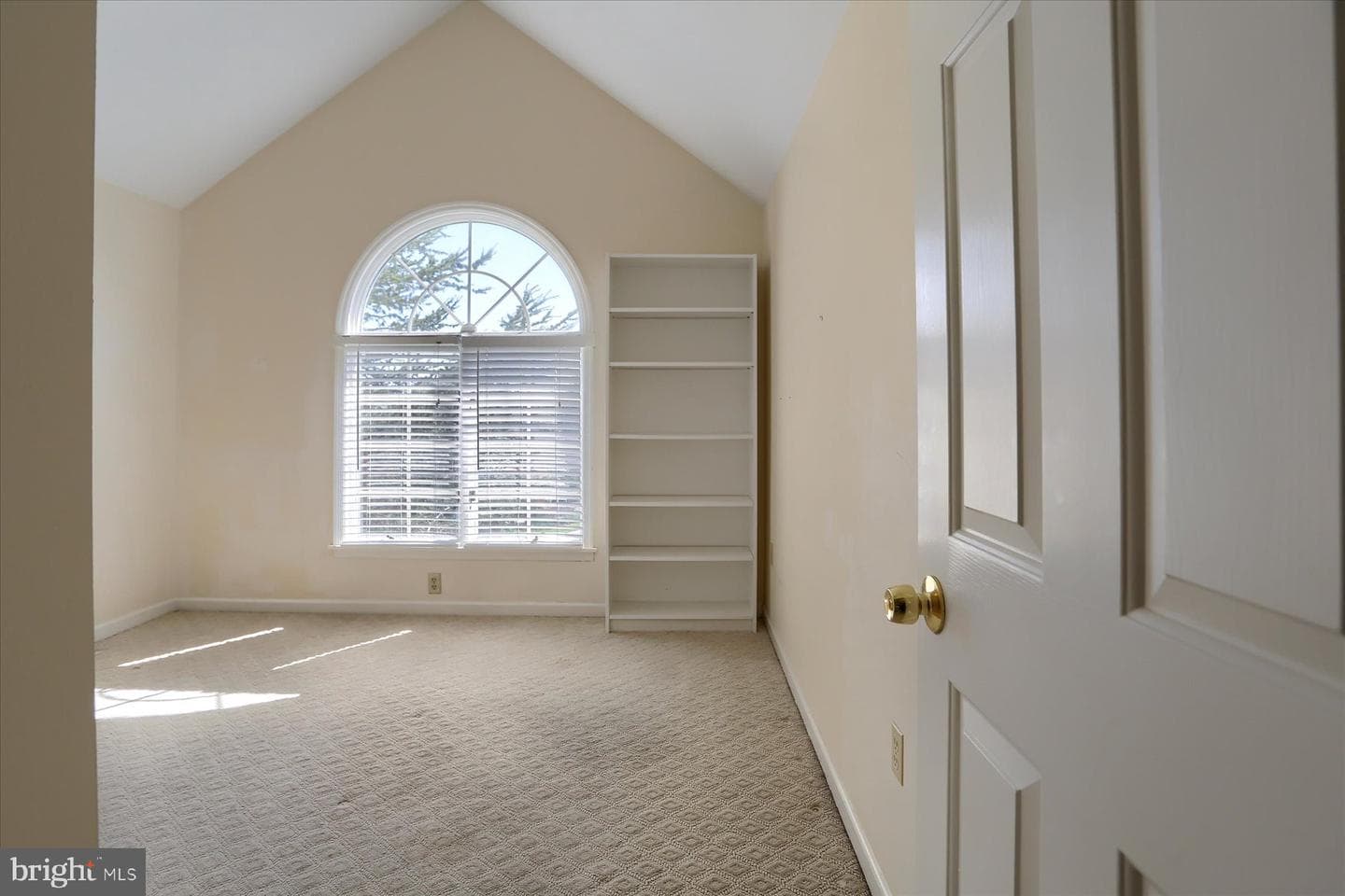 4430 Brighton Court photo 43