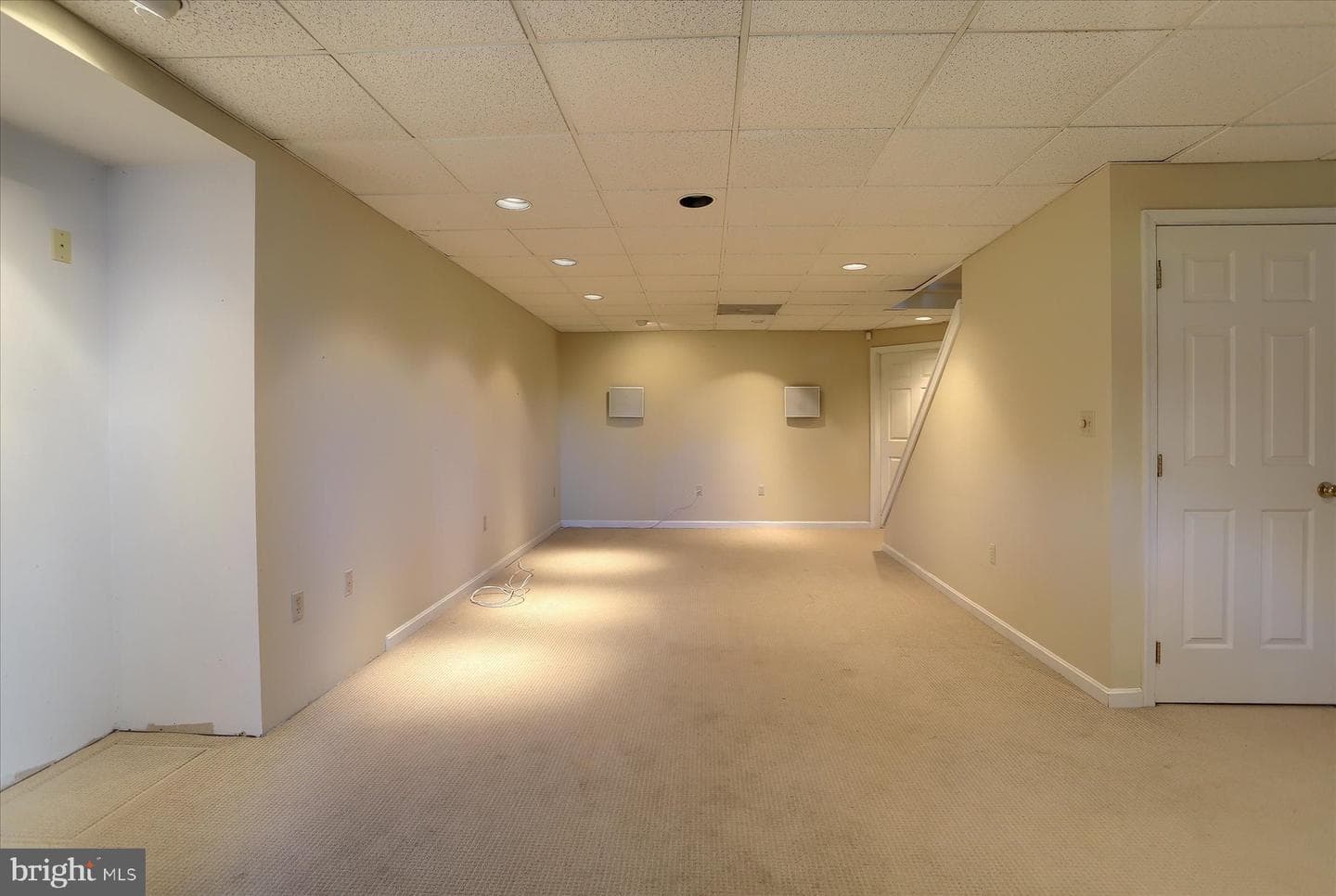 4430 Brighton Court photo 50
