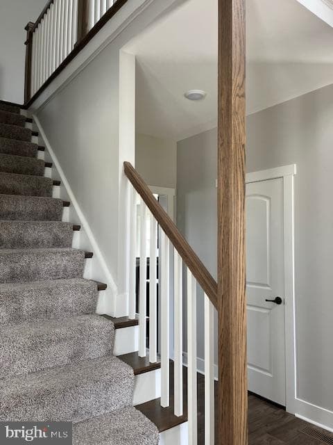 316 White Birch Lane photo 5