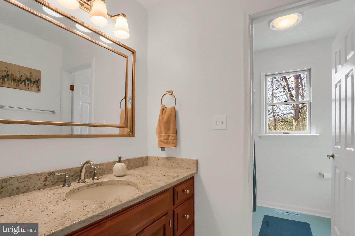 4439 Augusta Drive photo 51