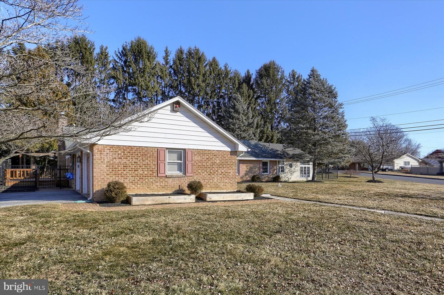 263 Evelina Road photo 4