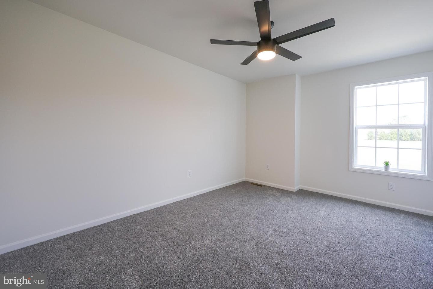 6447 Moline Lane photo 43