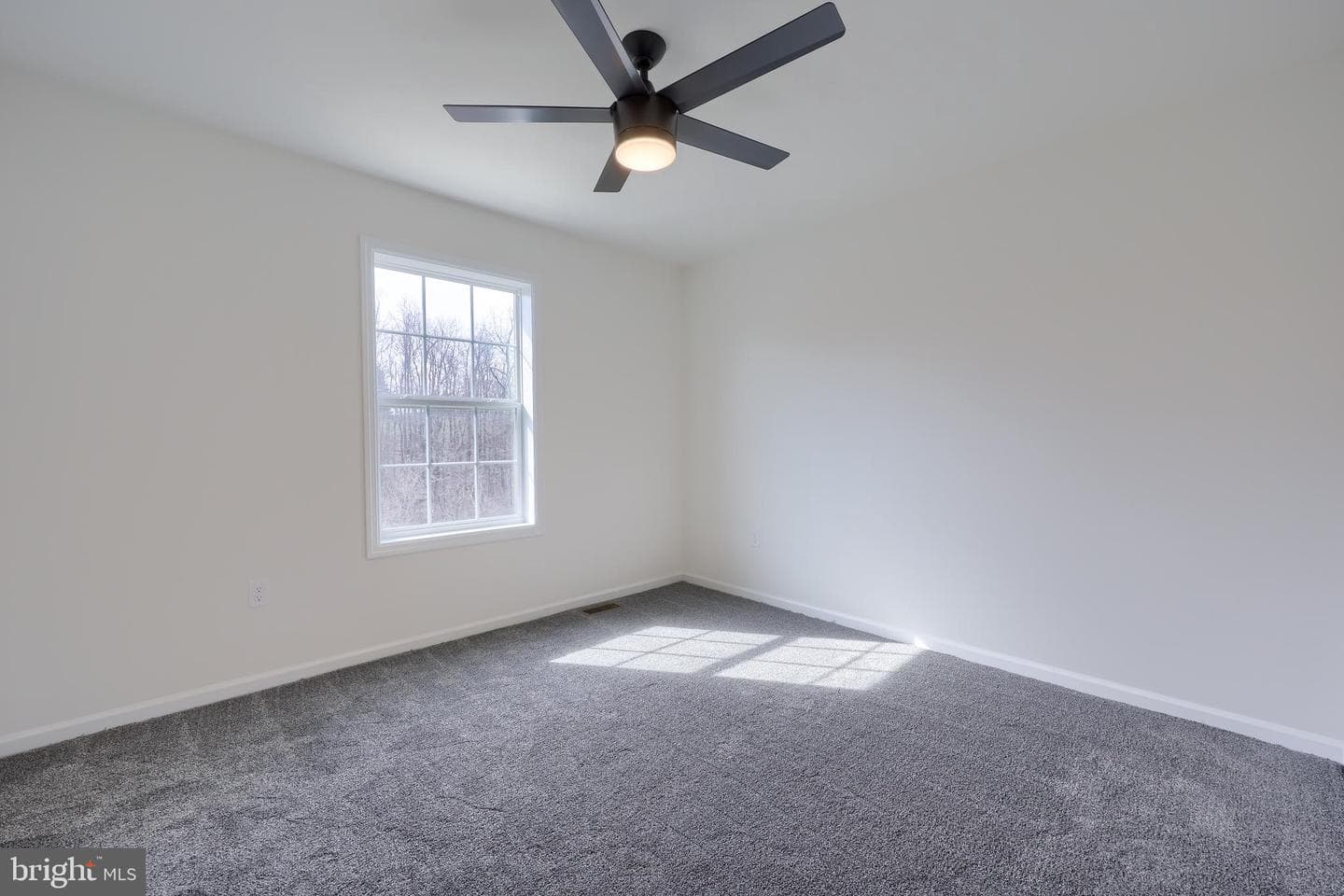 6447 Moline Lane photo 47