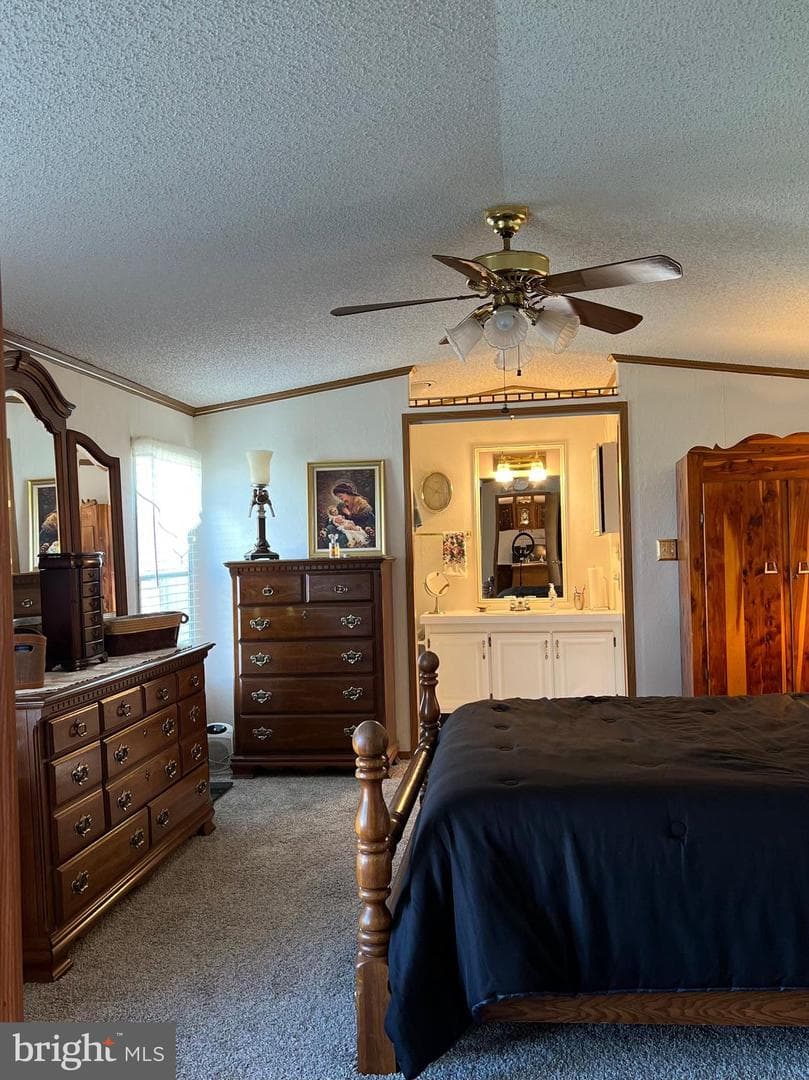2 Skyview Drive photo 17